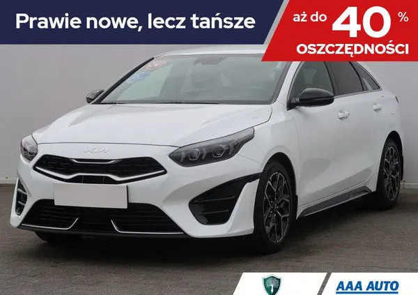 ostróda Kia Pro_cee'd cena 123001 przebieg: 12482, rok produkcji 2023 z Ostróda